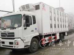 云南东风天锦畜禽运输车订购一台|畜禽运输车预备发车