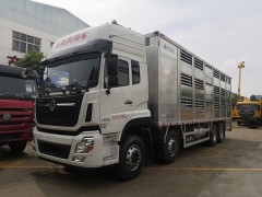 国六东风天龙畜禽运输车助您发财致富 畜禽运输车动态