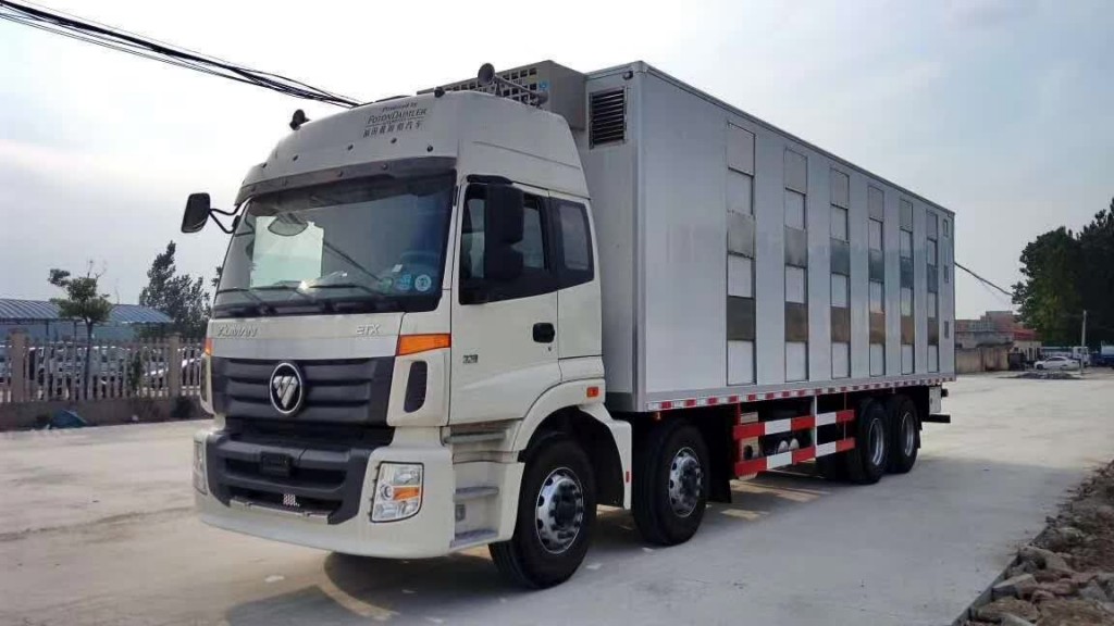 福田欧曼前四后八运猪车