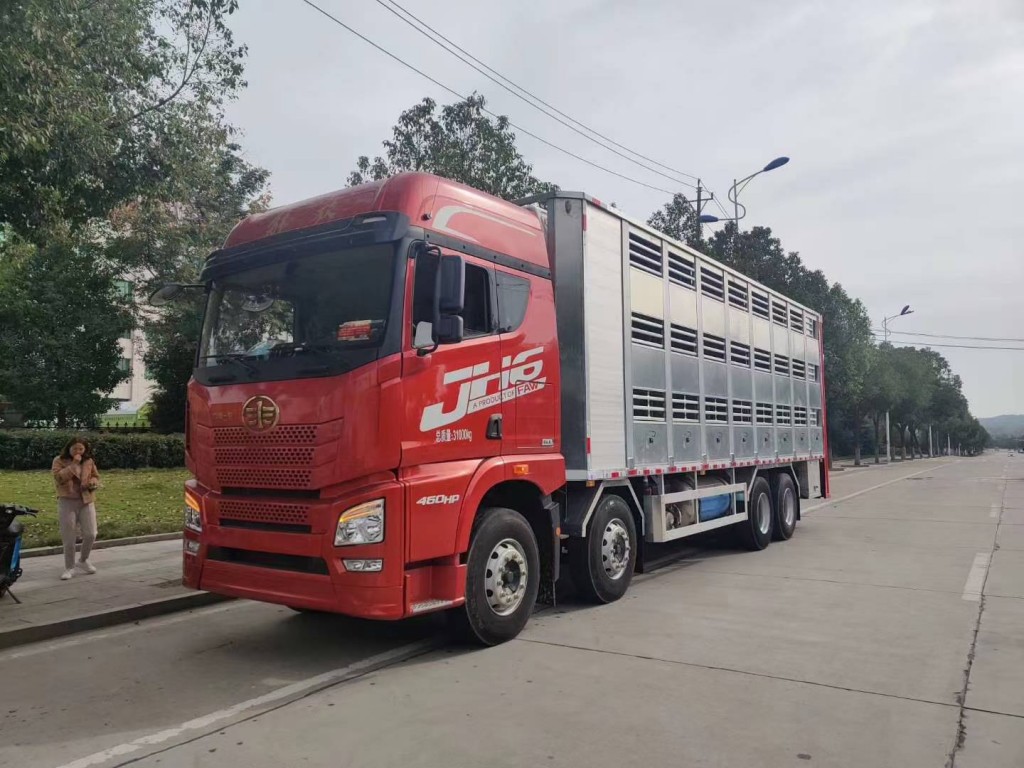 解放运猪车