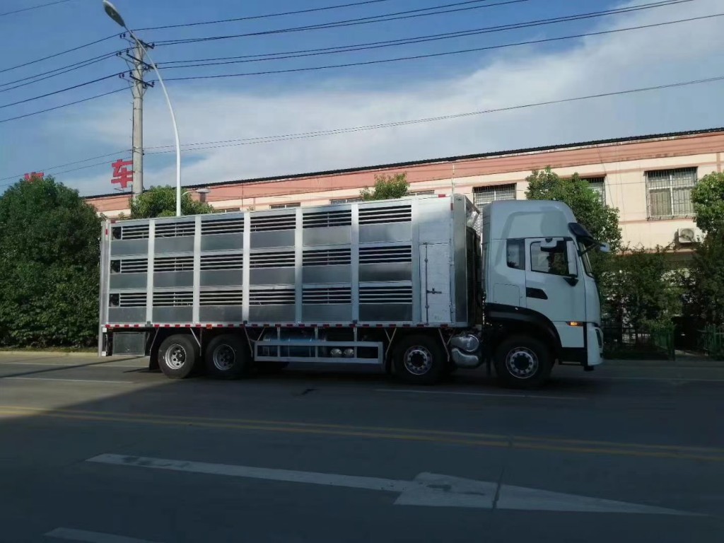 福田欧曼活猪运输车