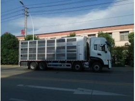 福田欧曼活猪运输车
