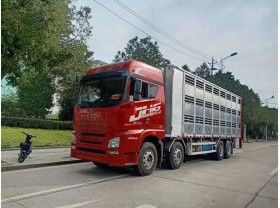 解放仔猪运输车