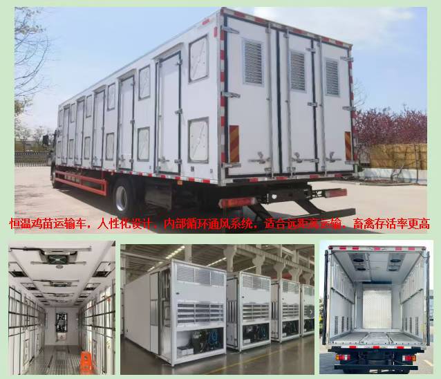 小型鸡苗运输专用车