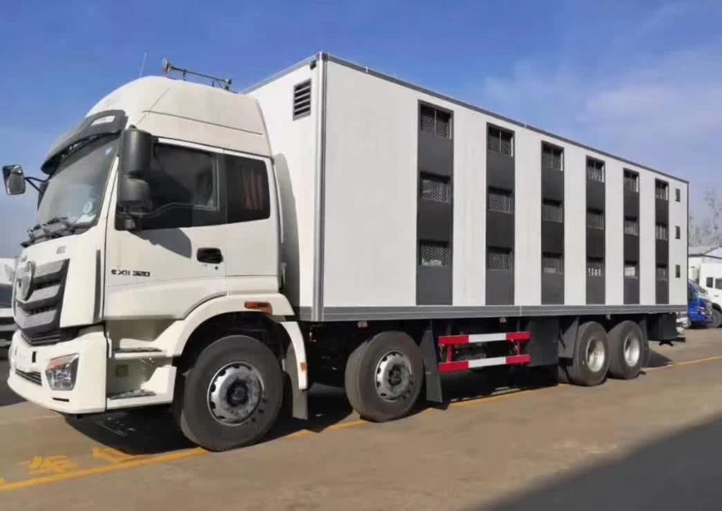 福田欧曼大型雏禽运输车