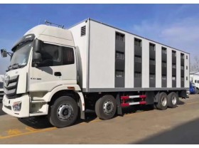 福田欧曼大型雏禽运输车